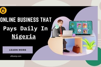 Online Business That Pays Daily In Nigeria