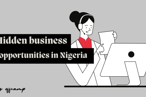 business opportunities in Nigeria