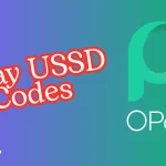Complete list of working OPay USSD codes